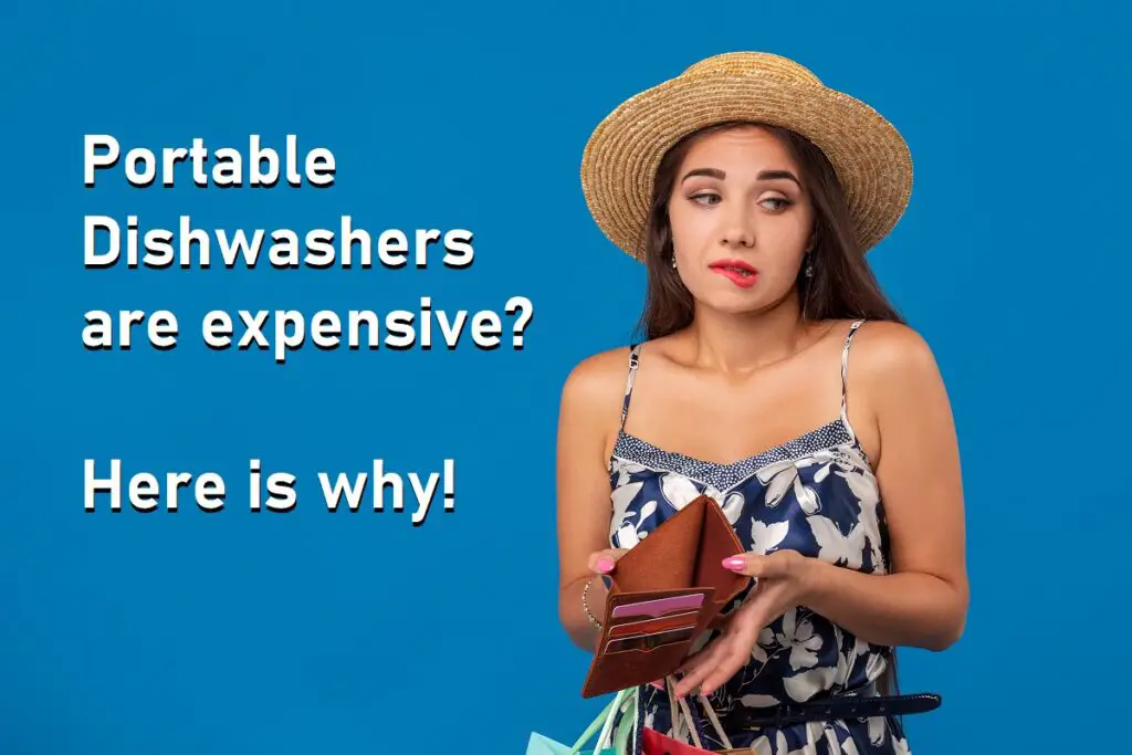 7 Reasons Why Portable Dishwashers Are So Expensive