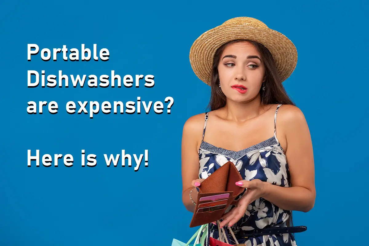 7 Reasons Why Portable Dishwashers Are So Expensive